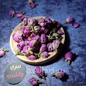 غنچه گل محمدی